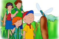 ‘Caillou’