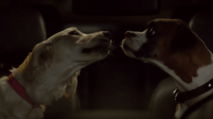 Frankie Simplifies Remote Workflows at Drive Thru