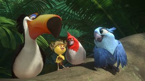 Gallery: Rio 2
