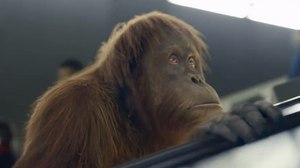 FMX 2015 to Spotlight VFX in Commercials, TV FMX 2015 to Spotlight VFX in Commercials, TV