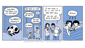 Rachel Dukes Joins Cartoon Art Museum as January Cartoonist-in-Residence