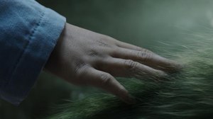 WATCH: Disney Unveils ‘Pete’s Dragon’ Teaser Trailer