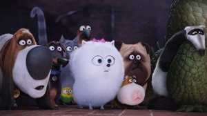 The Cat is Out of the Bag in New Trailer for Illumination’s ‘Secret Life of Pets’