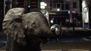 Filmakademie Named School of the Year at 2016 Rookies