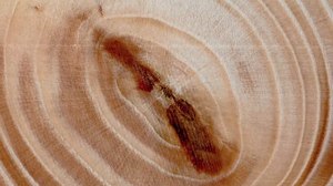 What are all those paint men digging? - 'WoodSwimmer'