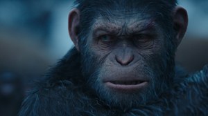 Image Gallery: Weta Brings Emotion & Drama to CG for ‘War for the Planet of the Apes’ Image Gallery: Weta Brings Emotion & Drama to CG for ‘War for the Planet of the Apes’