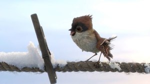 Zhanna Bekmambetova Spreads Her Creative Wings With ‘Tweet-Tweet’