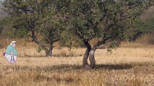 ‘Wildebeest’ Takes Top Prize at Fantoche 2018 ‘Wildebeest’ Takes Top Prize at Fantoche 2018