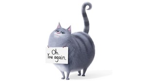 Chloe the Cat is Back in New Trailer for ‘Secret Life of Pets 2’ Chloe the Cat is Back in New Trailer for ‘Secret Life of Pets 2’