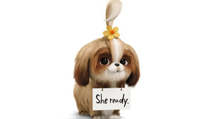 Tiffany Haddish’s Daisy Searches for a Hero in Latest ‘Secret Life of Pets 2’ Trailer Tiffany Haddish’s Daisy Searches for a Hero in Latest ‘Secret Life of Pets 2’ Trailer