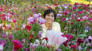 Pearl Studio Memorializes Screenwriter Audrey Wells with $100K UCLA TFT Scholarship Fund Pearl Studio Memorializes Screenwriter Audrey Wells with $100K UCLA TFT Scholarship Fund