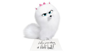 Chloe Schools Gidget on ‘Cattitude’ in New ‘Secret Life of Pets 2’ Trailer Chloe Schools Gidget on ‘Cattitude’ in New ‘Secret Life of Pets 2’ Trailer