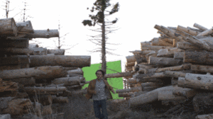 'Next': Flex Time for VFX