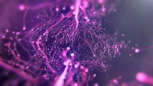 MPC LA Goes Abstract for Deutsche Telekom