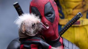 ‘Deadpool & Wolverine’ Heads to Digital and Blu-ray/DVD ‘Deadpool & Wolverine’ Heads to Digital and Blu-ray/DVD
