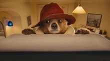 Ben Whishaw Replaces Colin Firth as Voice of ‘Paddington’