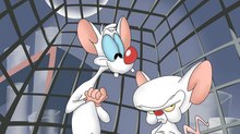 Emmy-Winning Animator Liz Holzman Dies at 61 Emmy-Winning Animator Liz Holzman Dies at 61