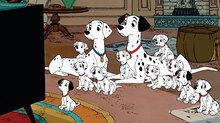 Coming Soon…to Your Living Room: Disney’s ‘101 Dalmatians,’ ‘Sailor Moon’