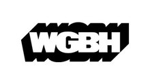 WGBH Appoints Terry Fitzpatrick