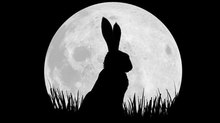 Netflix, BBC Announce Voice Cast for ‘Watership Down’ Miniseries