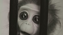 Edinburgh Fest Details 2016 Animation Program
