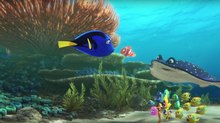 Join the Search with New ‘Finding Dory’ Trailer & Clips