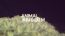Sarofsky Delivers Main Titles for TNT's ‘Animal Kingdom’