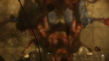 Crowdfunding Campaign for Jan Švankmajer’s ‘Insects’ Ends July 6 Crowdfunding Campaign for Jan Švankmajer’s ‘Insects’ Ends July 6