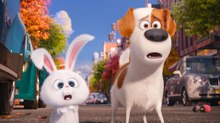 Chris Renaud Talks ‘The Secret Life of Pets’