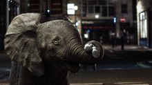 Filmakademie Named School of the Year at 2016 Rookies