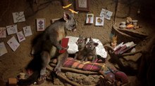 ‘Accidents, Blunders and Calamities’ Short Wins at Comic-Con ‘Accidents, Blunders and Calamities’ Short Wins at Comic-Con