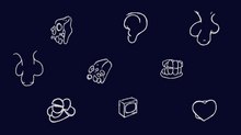 Animators Unearthed – Ruth Lingford