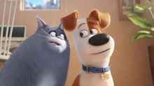 CLIP: Illumination’s ‘Secret Life of Pets’ Now Available on Blu-ray CLIP: Illumination’s ‘Secret Life of Pets’ Now Available on Blu-ray