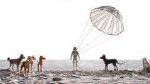 Wes Anderson’s ‘Isle of Dogs’ Set for 2018 Release Wes Anderson’s ‘Isle of Dogs’ Set for 2018 Release