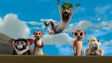 ‘King Julien’ Tops Daytime Emmys Animation Nominees ‘King Julien’ Tops Daytime Emmys Animation Nominees