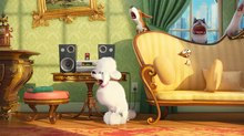‘Pets 2’ Voice Role the First for Harrison Ford ‘Pets 2’ Voice Role the First for Harrison Ford