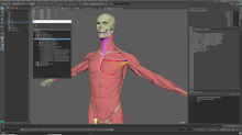 Ziva Dynamics Releases Ziva VFX 1.4 Ziva Dynamics Releases Ziva VFX 1.4
