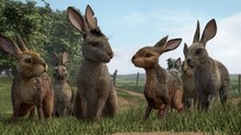 TRAILER: James McAvoy Leads Rabbit Rebellion in New ‘Watership Down’ Adaptation TRAILER: James McAvoy Leads Rabbit Rebellion in New ‘Watership Down’ Adaptation