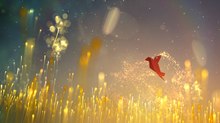 A Mesmerizing Homage to Visual Music: SIGGRAPH Asia Best in Show Winner ‘L’oiseau Qui Danse’