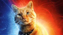 Trixter Delivers Purr-fect VFX for ‘Captain Marvel’ Trixter Delivers Purr-fect VFX for ‘Captain Marvel’