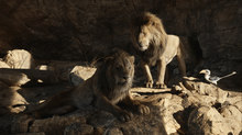 True Kings of the Jungle True Kings of the Jungle