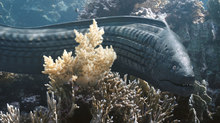 Dive into the Aquatic World of VES Student Award Winner ‘The Beauty’