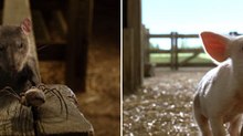 Spinning A New 'Charlotte’s Web'