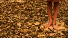 'The Reaping': Revisiting the Plagues in 3D