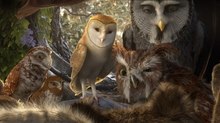 Movie Review: 'Legend of the Guardians': '300' with Feathers Movie Review: 'Legend of the Guardians': '300' with Feathers
