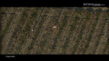 Getting Trippy VFX for 'Looper'