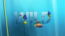 Loyalkaspar Lets in the Wild for Nat Geo WILD Refresh