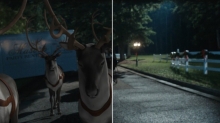 Proof Shares ‘Dashing Through the Snow’ Postvis Reel