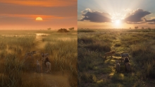 MPC Recreates the Pride-Lands for ‘Lion King’ Prequel ‘Mufasa: The Lion King’ MPC Recreates the Pride-Lands for ‘Lion King’ Prequel ‘Mufasa: The Lion King’